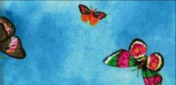 Orthesen Farbmuster Butterfly Blue