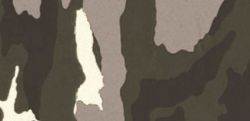 Orthesen Farbmuster Camouflage grün